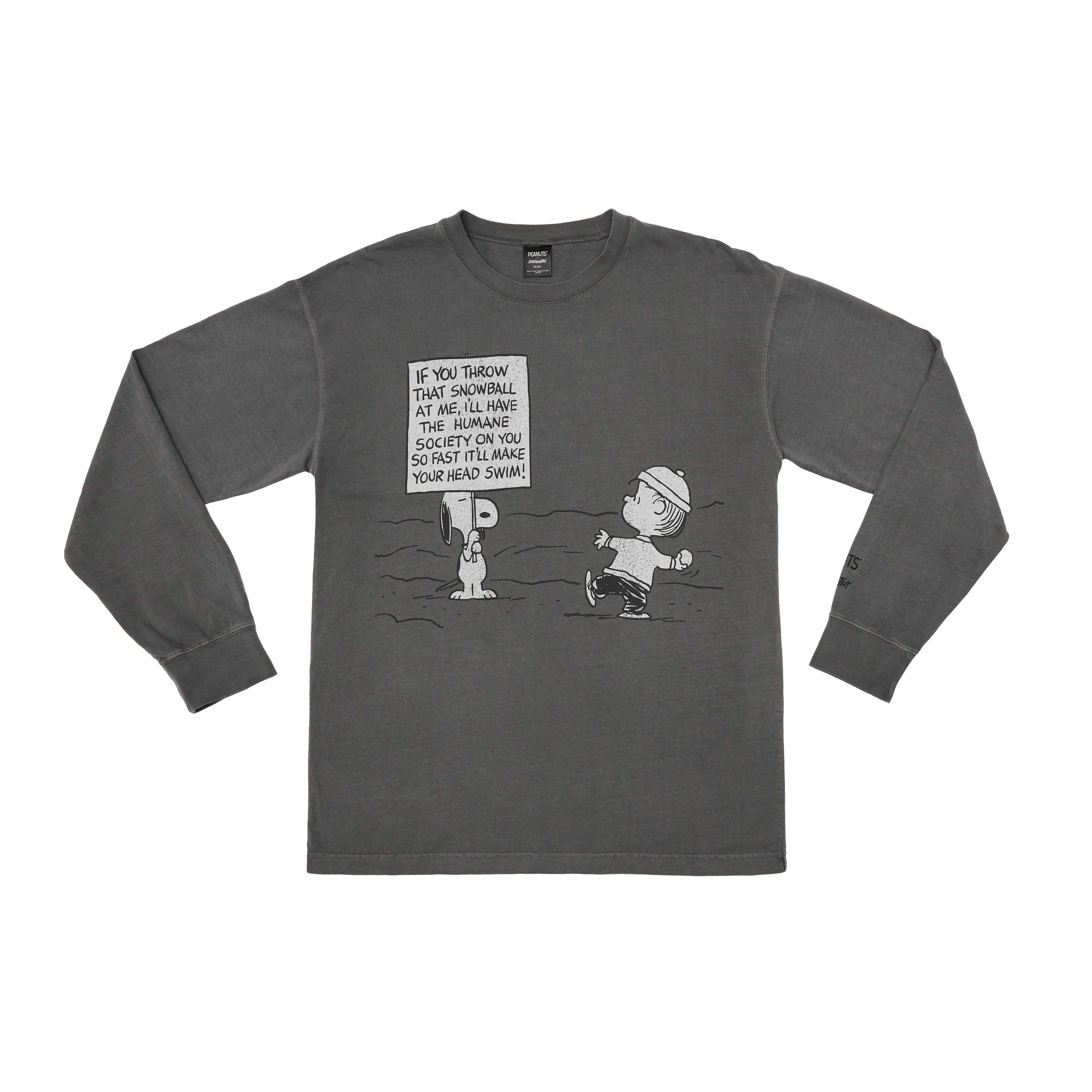 Peanuts Comic Long Sleeve T-Shirt