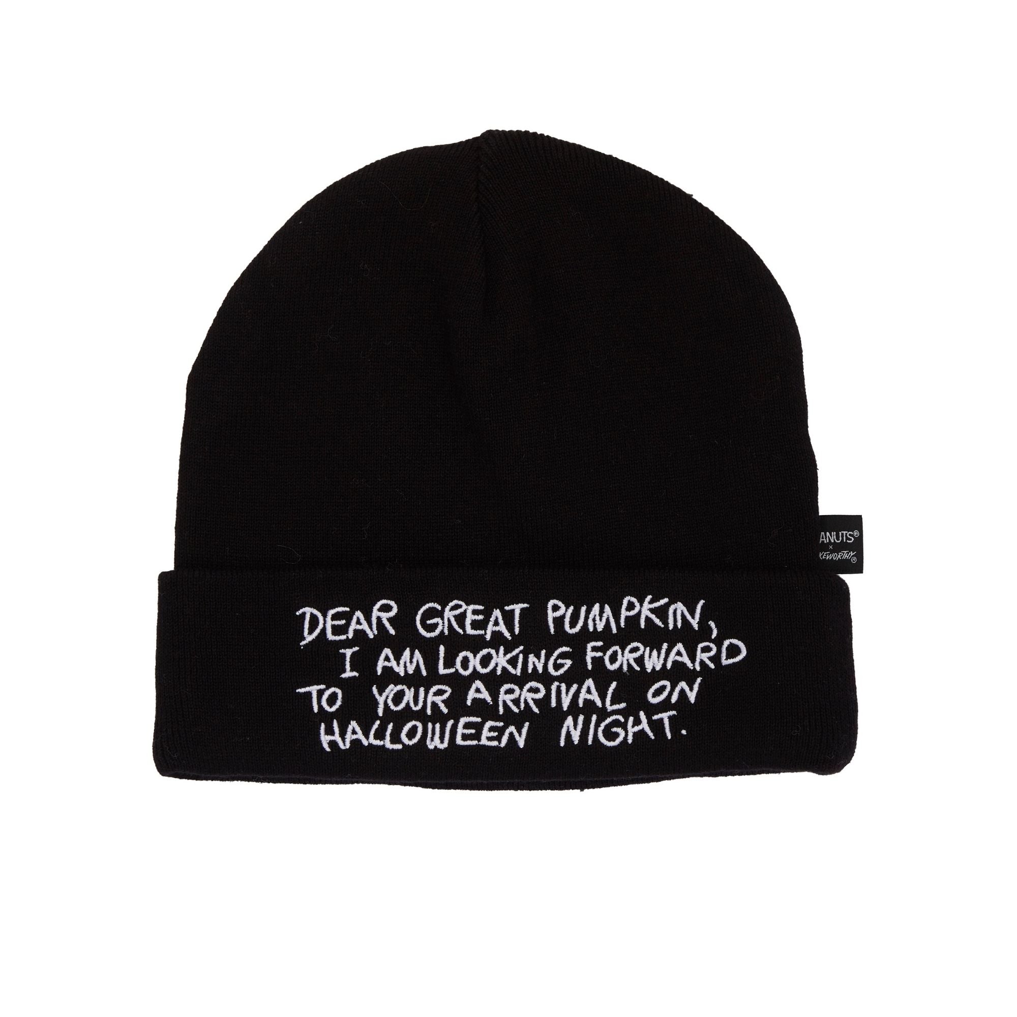 Peanuts The Great Pumpkin Charlie Brown Beanie
