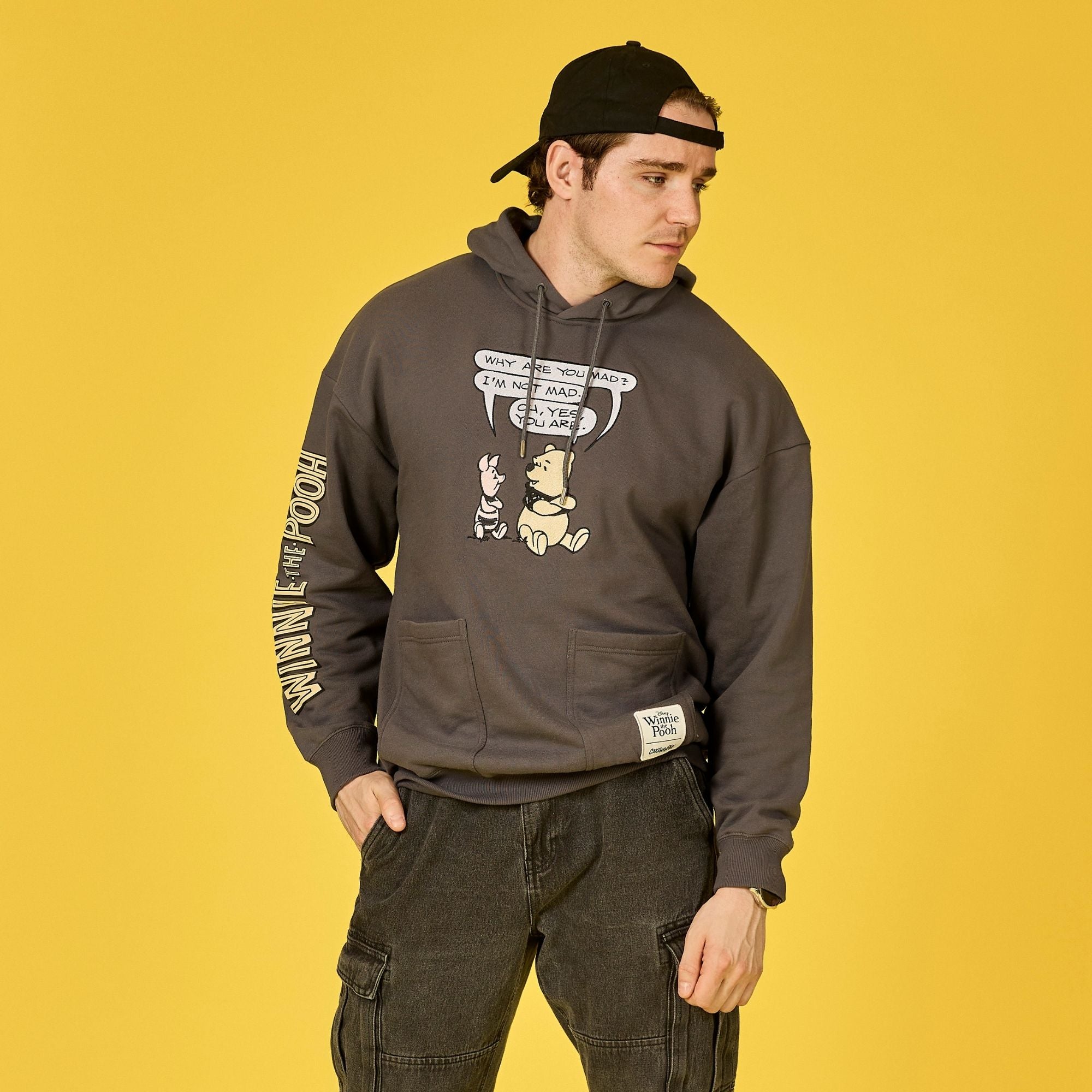 Winnie the Pooh Comic Hoodie