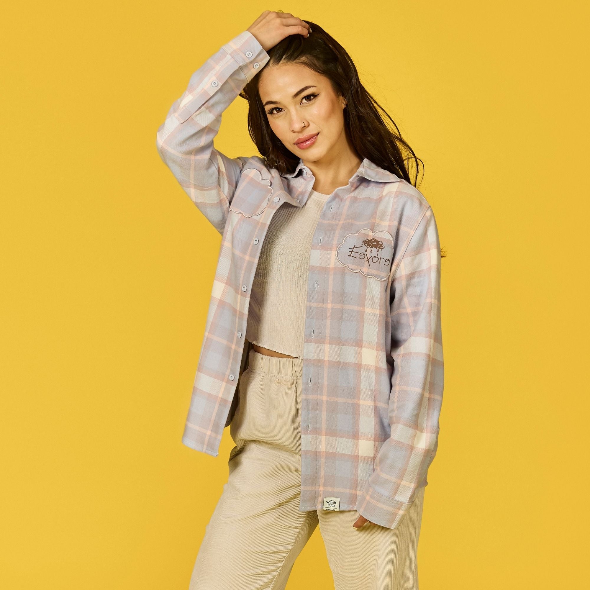 Winnie the Pooh Eeyore Flannel