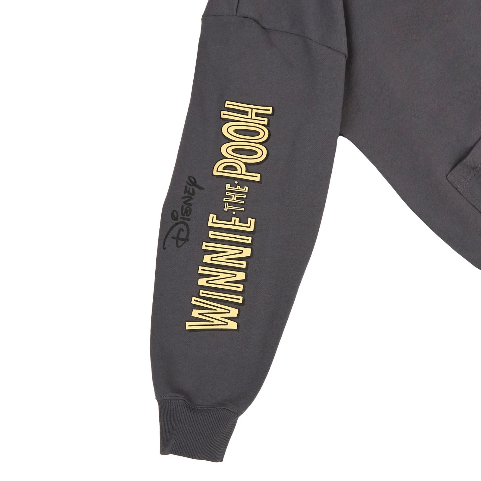 Winnie the Pooh Comic Hoodie